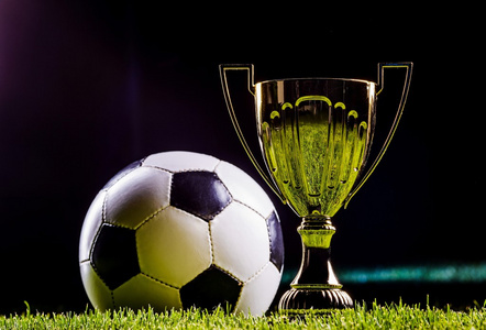 了显著提升 了显著提升